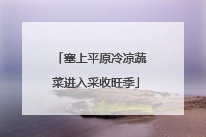 塞上平原冷凉蔬菜进入采收旺季