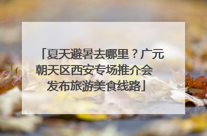 夏天避暑去哪里？广元朝天区西安专场推介会 发布旅游美食线路