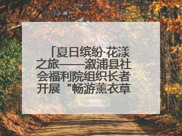 夏日缤纷·花漾之旅——溆浦县社会福利院组织长者开展“畅游薰衣草庄园 共享紫色浪漫”户外活动