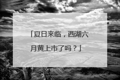 夏日来临，西湖六月黄上市了吗？