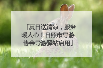 夏日送清凉，服务暖人心！日照市导游协会导游驿站启用