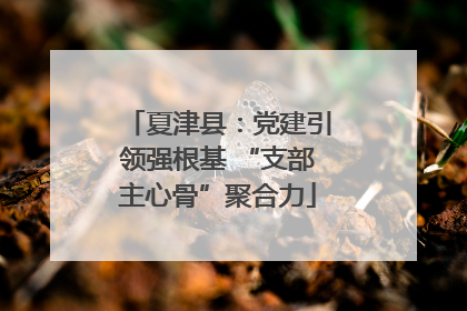 夏津县：党建引领强根基 “支部主心骨”聚合力