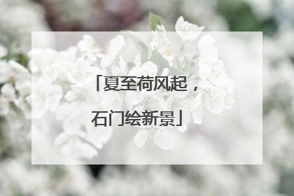 夏至荷风起，石门绘新景