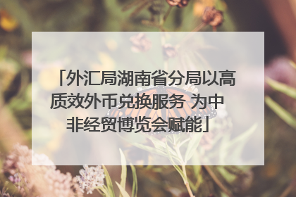 外汇局湖南省分局以高质效外币兑换服务 为中非经贸博览会赋能
