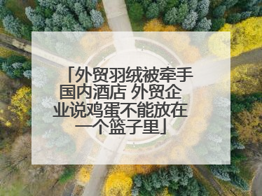 外贸羽绒被牵手国内酒店 外贸企业说鸡蛋不能放在一个篮子里