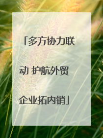 多方协力联动 护航外贸企业拓内销
