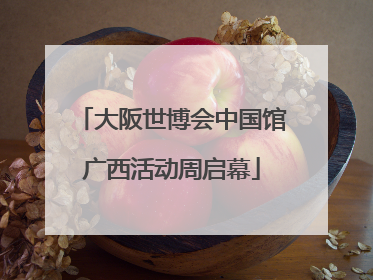大阪世博会中国馆广西活动周启幕
