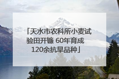 天水市农科所小麦试验田开镰 60年育成120余抗旱品种