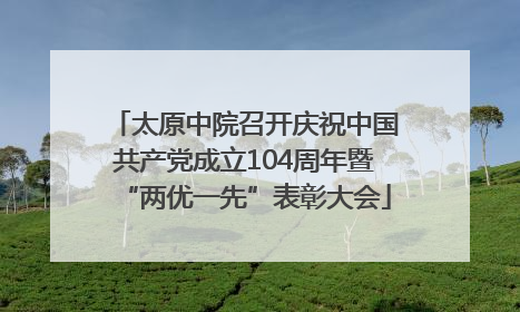 太原中院召开庆祝中国共产党成立104周年暨“两优一先”表彰大会