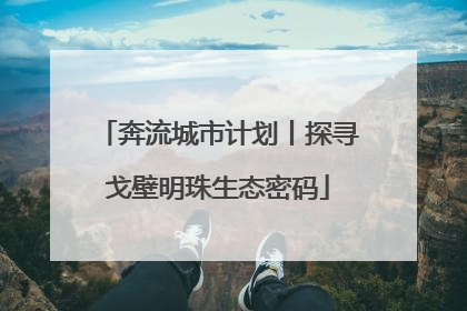 奔流城市计划丨探寻戈壁明珠生态密码