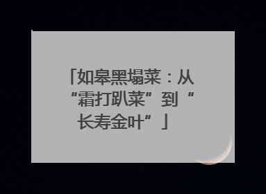 如皋黑塌菜：从“霜打趴菜”到“长寿金叶”
