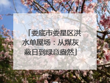 娄底市娄星区洪水单屋场：从煤灰蔽日到绿意盎然