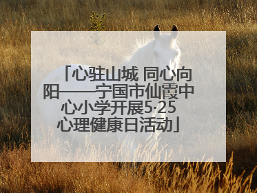 心驻山城 同心向阳——宁国市仙霞中心小学开展5·25心理健康日活动