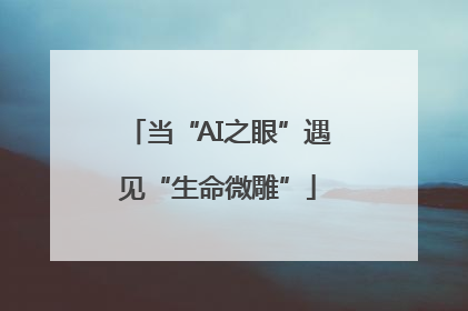 当“AI之眼”遇见“生命微雕”