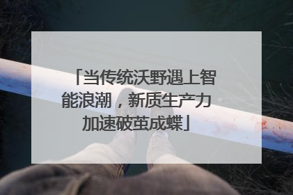 当传统沃野遇上智能浪潮，新质生产力加速破茧成蝶