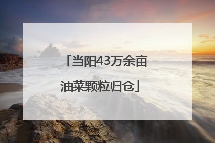 当阳43万余亩油菜颗粒归仓