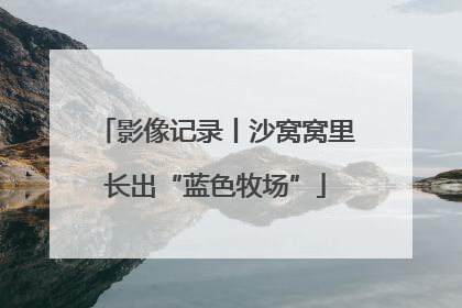 影像记录丨沙窝窝里长出“蓝色牧场”