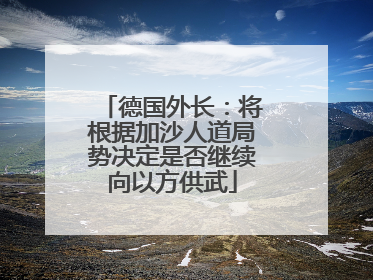 德国外长：将根据加沙人道局势决定是否继续向以方供武