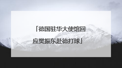 德国驻华大使馆回应樊振东赴德打球