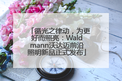 循光之律动，为更好而照亮：Waldmann沃达迈前沿照明新品正式发布