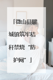 微山县驩城镇筑牢秸秆禁烧“防护网”