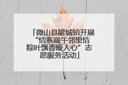 微山县驩城镇开展“情系端午邻里情 粽叶飘香暖人心”志愿服务活动