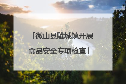 微山县驩城镇开展食品安全专项检查