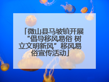 微山县马坡镇开展“倡导移风易俗 树立文明新风”移风易俗宣传活动