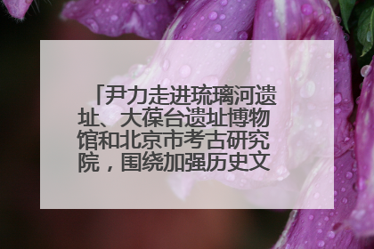 尹力走进琉璃河遗址、大葆台遗址博物馆和北京市考古研究院，围绕加强历史文化名城保护调研
