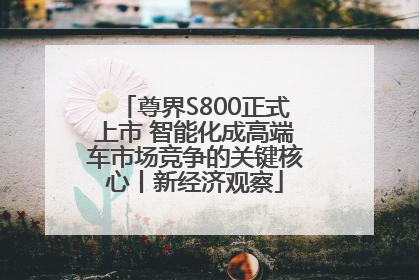 尊界S800正式上市 智能化成高端车市场竞争的关键核心丨新经济观察