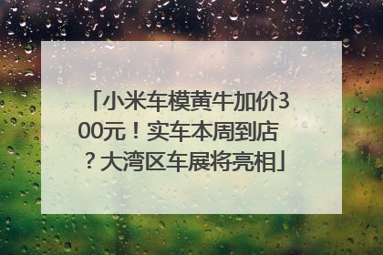 小米车模黄牛加价300元！实车本周到店？大湾区车展将亮相