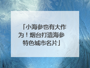 小海参也有大作为！烟台打造海参特色城市名片