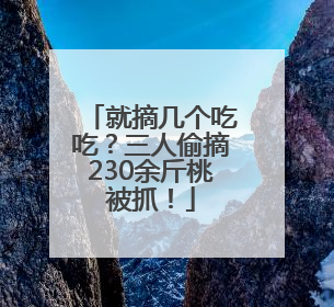 就摘几个吃吃？三人偷摘230余斤桃被抓！
