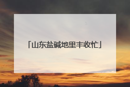 山东盐碱地里丰收忙