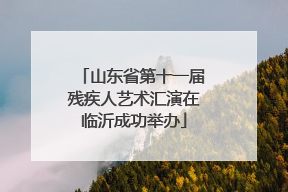山东省第十一届残疾人艺术汇演在临沂成功举办