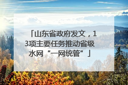 山东省政府发文，13项主要任务推动省级水网“一网统管”