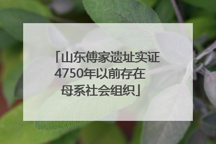 山东傅家遗址实证4750年以前存在母系社会组织