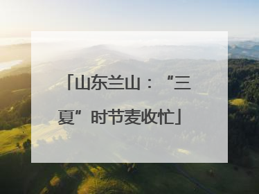 山东兰山：“三夏”时节麦收忙