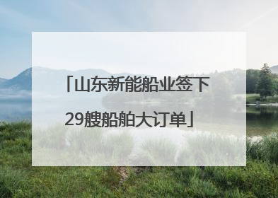 山东新能船业签下29艘船舶大订单