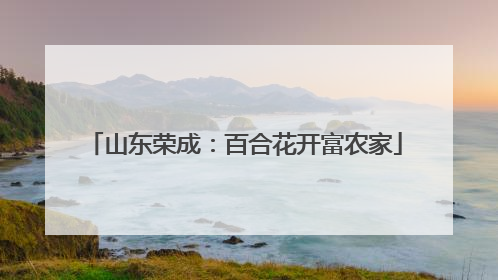 山东荣成：百合花开富农家