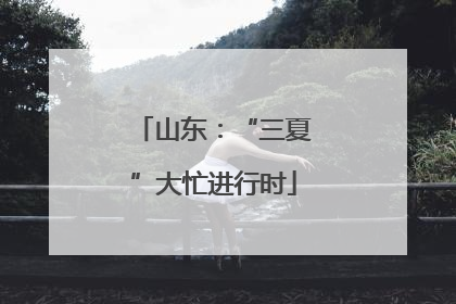 山东：“三夏”大忙进行时