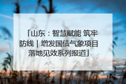 山东：智慧赋能 筑牢防线｜增发国债气象项目落地见效系列报道