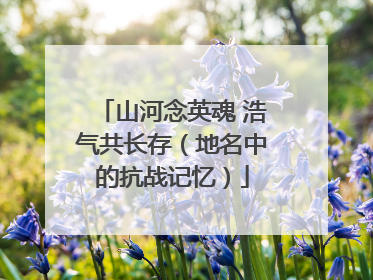 山河念英魂 浩气共长存（地名中的抗战记忆）