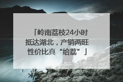 岭南荔枝24小时抵达湖北，产销两旺性价比真“给荔”