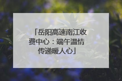 岳阳高速南江收费中心：端午温情传递暖人心