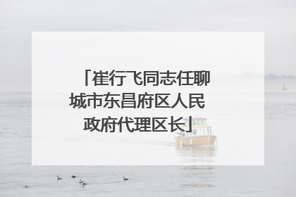 崔行飞同志任聊城市东昌府区人民政府代理区长