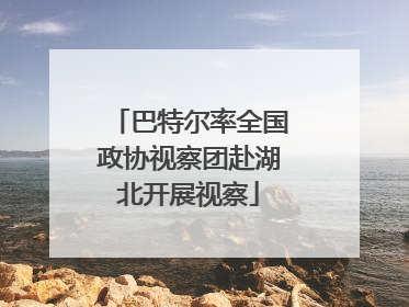巴特尔率全国政协视察团赴湖北开展视察