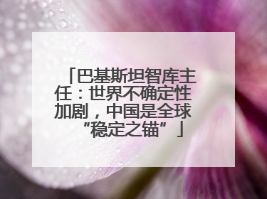 巴基斯坦智库主任：世界不确定性加剧，中国是全球“稳定之锚”
