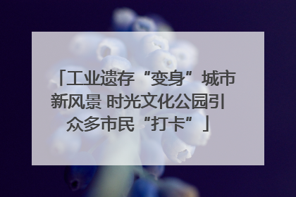 工业遗存“变身”城市新风景 时光文化公园引众多市民“打卡”