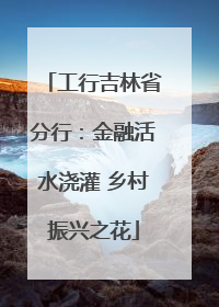 工行吉林省分行：金融活水浇灌 乡村振兴之花